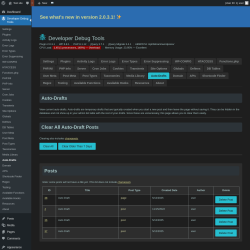 Page screenshot: Developer Debug Tools &rarr; Auto-Drafts