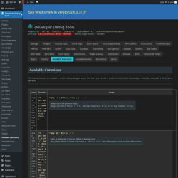 Page screenshot: Developer Debug Tools &rarr; Available Functions