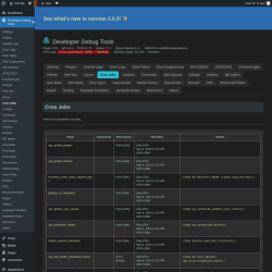 Page screenshot: Developer Debug Tools &rarr; Cron Jobs