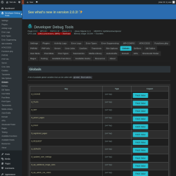 Page screenshot: Developer Debug Tools &rarr; Globals