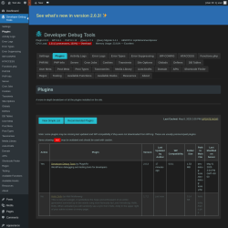 Page screenshot: Developer Debug Tools &rarr; Plugins