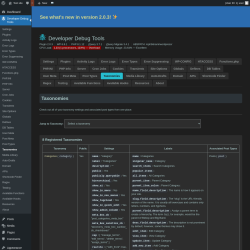 Page screenshot: Developer Debug Tools &rarr; Taxonomies