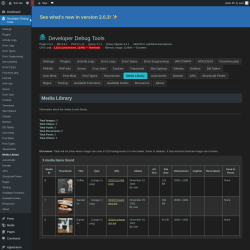 Page screenshot: Developer Debug Tools &rarr; Media Library