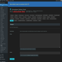 Page screenshot: Developer Debug Tools &rarr; Regex