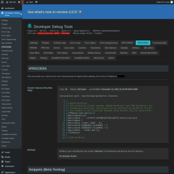 Page screenshot: Developer Debug Tools &rarr; HTACCESS