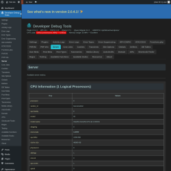 Page screenshot: Developer Debug Tools &rarr; Server