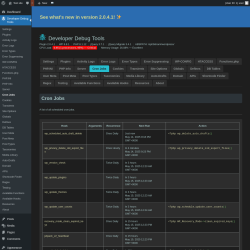 Page screenshot: Developer Debug Tools &rarr; Cron Jobs