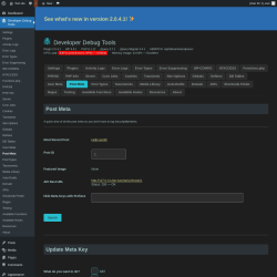 Page screenshot: Developer Debug Tools &rarr; Post Meta