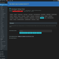 Page screenshot: Developer Debug Tools &rarr; Domain