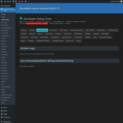 Page screenshot: Developer Debug Tools &rarr; Activity Logs
