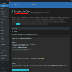 Page screenshot: Developer Debug Tools &rarr; Testing