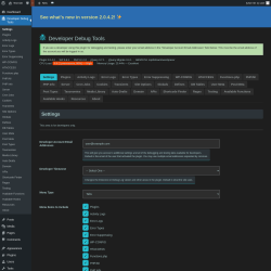 Page screenshot: Developer Debug Tools