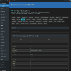 Page screenshot: Developer Debug Tools &rarr; Server