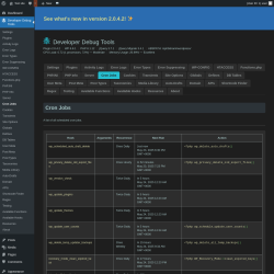 Page screenshot: Developer Debug Tools &rarr; Cron Jobs