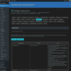 Page screenshot: Developer Debug Tools &rarr; Transients
