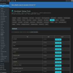Page screenshot: Developer Debug Tools &rarr; Globals
