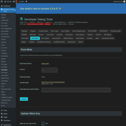 Page screenshot: Developer Debug Tools &rarr; Post Meta