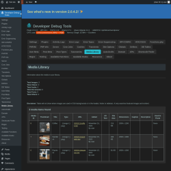 Page screenshot: Developer Debug Tools &rarr; Media Library