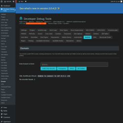 Page screenshot: Developer Debug Tools &rarr; Domain