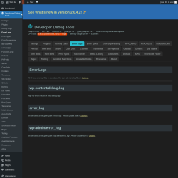 Page screenshot: Developer Debug Tools &rarr; Error Logs