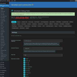 Page screenshot: Developer Debug Tools