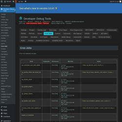 Page screenshot: Developer Debug Tools &rarr; Cron Jobs