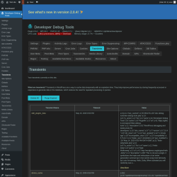 Page screenshot: Developer Debug Tools &rarr; Transients