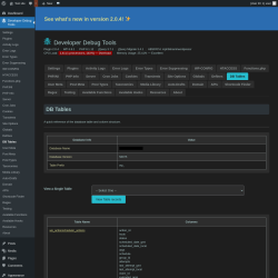 Page screenshot: Developer Debug Tools &rarr; DB Tables