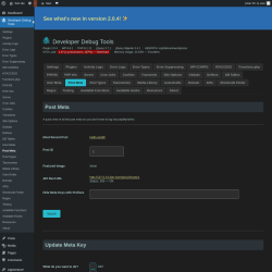 Page screenshot: Developer Debug Tools &rarr; Post Meta