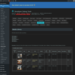 Page screenshot: Developer Debug Tools &rarr; Media Library