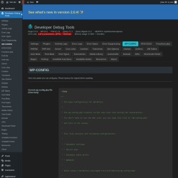 Page screenshot: Developer Debug Tools &rarr; WP-CONFIG