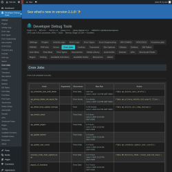 Page screenshot: Developer Debug Tools &rarr; Cron Jobs