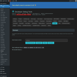 Page screenshot: Developer Debug Tools &rarr; Domain