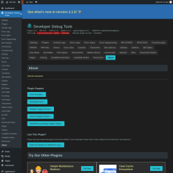 Page screenshot: Developer Debug Tools &rarr; About