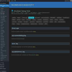 Page screenshot: Developer Debug Tools &rarr; Error Logs