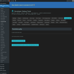 Page screenshot: Developer Debug Tools &rarr; Functions.php