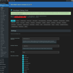 Page screenshot: Developer Debug Tools