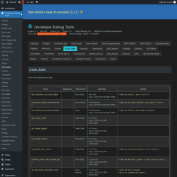 Page screenshot: Developer Debug Tools &rarr; Cron Jobs