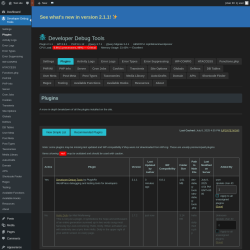 Page screenshot: Developer Debug Tools &rarr; Plugins