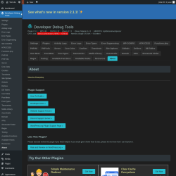 Page screenshot: Developer Debug Tools &rarr; About