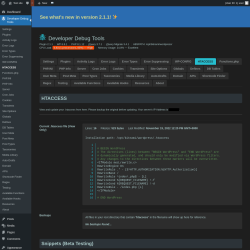 Page screenshot: Developer Debug Tools &rarr; HTACCESS