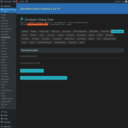 Page screenshot: Developer Debug Tools &rarr; Functions.php