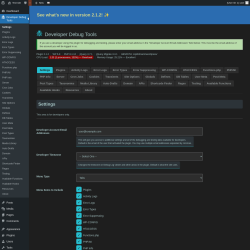 Page screenshot: Developer Debug Tools