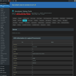 Page screenshot: Developer Debug Tools &rarr; Server