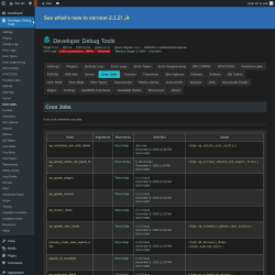 Page screenshot: Developer Debug Tools &rarr; Cron Jobs