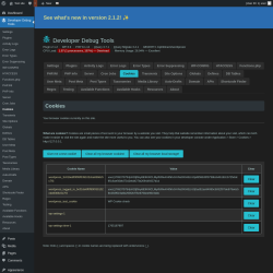 Page screenshot: Developer Debug Tools &rarr; Cookies