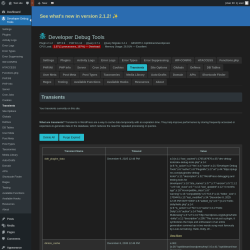 Page screenshot: Developer Debug Tools &rarr; Transients