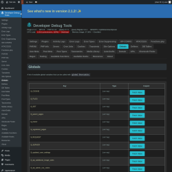 Page screenshot: Developer Debug Tools &rarr; Globals