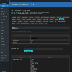 Page screenshot: Developer Debug Tools &rarr; DB Tables