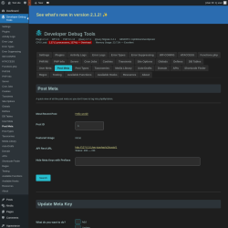 Page screenshot: Developer Debug Tools &rarr; Post Meta